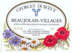 Georges Duboeuf - Beaujolais Villages 2021 (750ml)