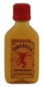 Fireball Cinnamon Whiskey (50)