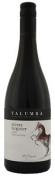 Yalumba - Shiraz Viognier The Y Series 2019 (750)